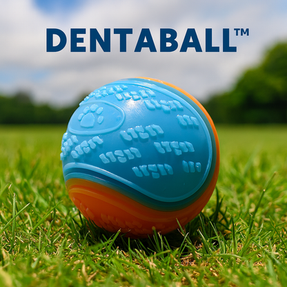 DentaBall™